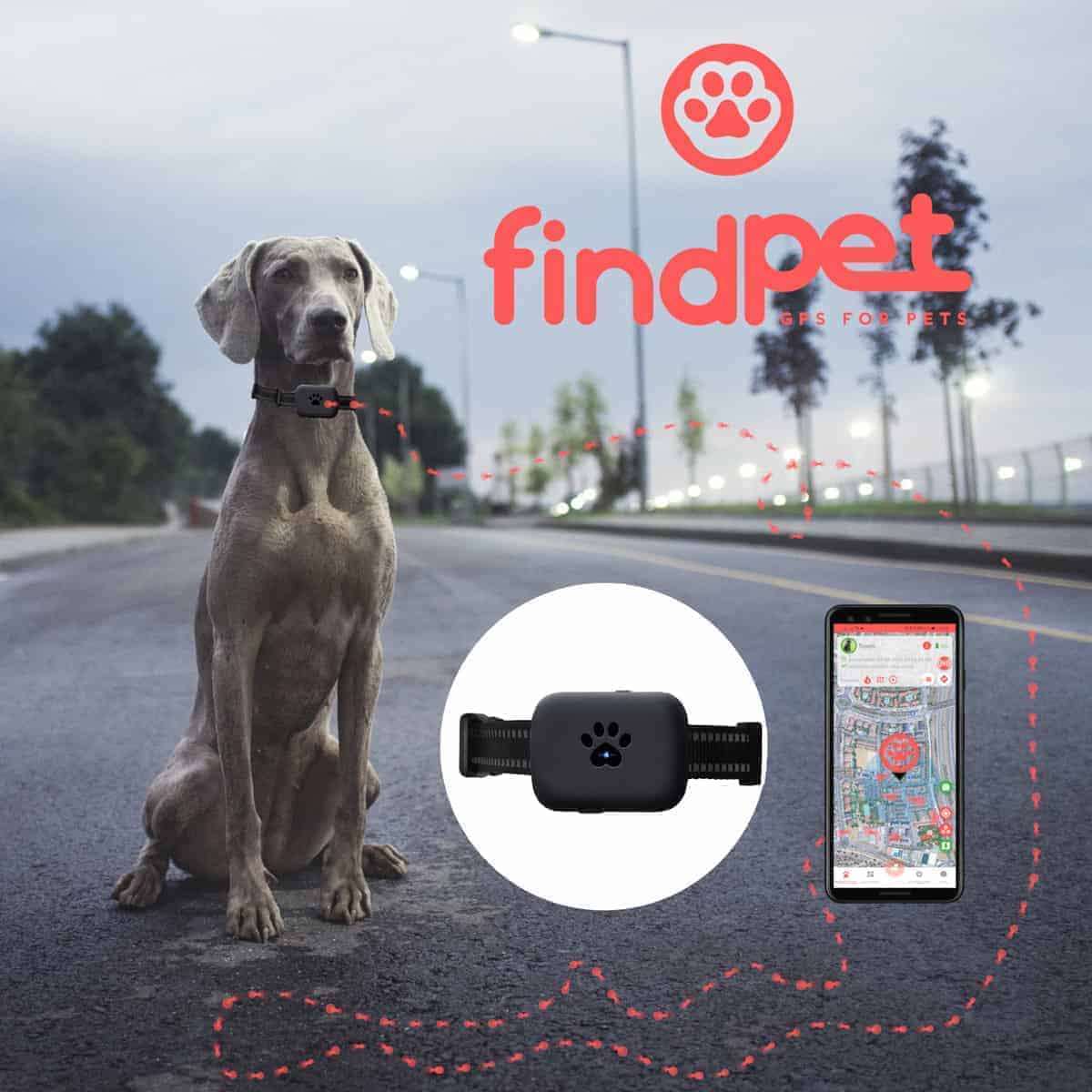 findPet GPS mini para perros - findPetGPS