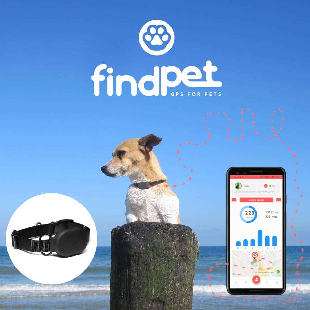 findPet GPS Max pour chiens - findPetGPS
